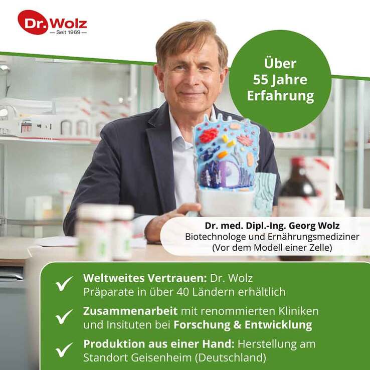 Curcumin Extrakt 45 Dr. Wolz Kapseln, 90 St