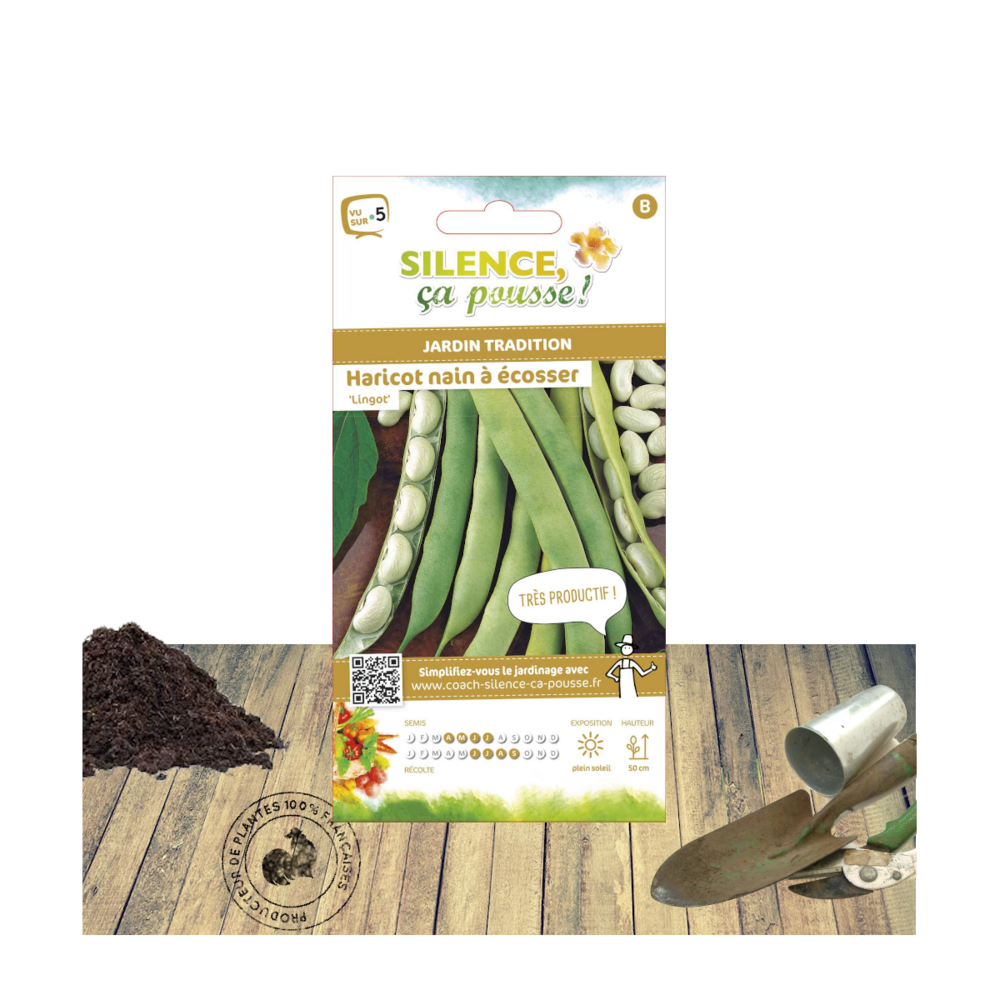 Graines de haricot nain lingot à écosser/phaseolus vulgaris lingot à écosser[-]sachet de 15 gr.