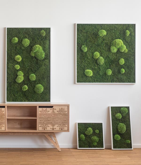styleGREEN Bild aus Wald- und Kugelmoos,