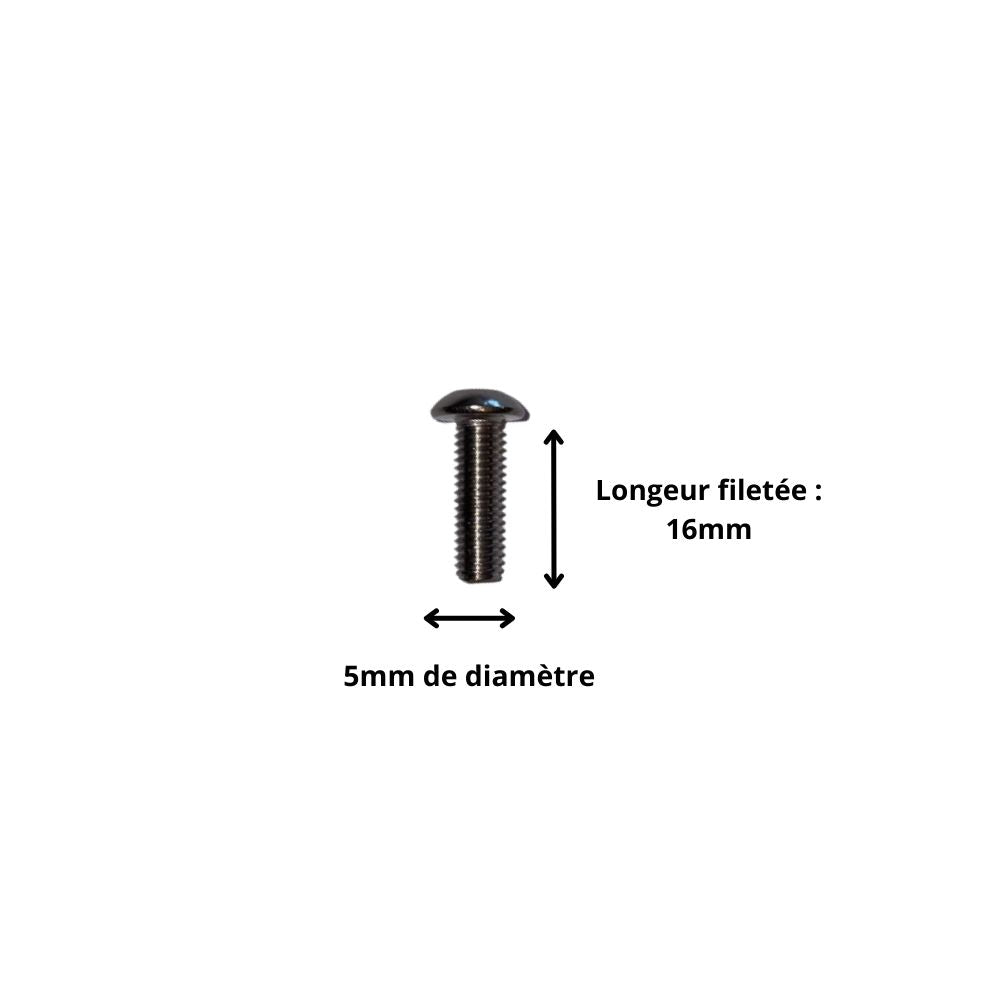 Vis M5x16 à Tête Ronde et Empreinte Allen (Pack de 10)