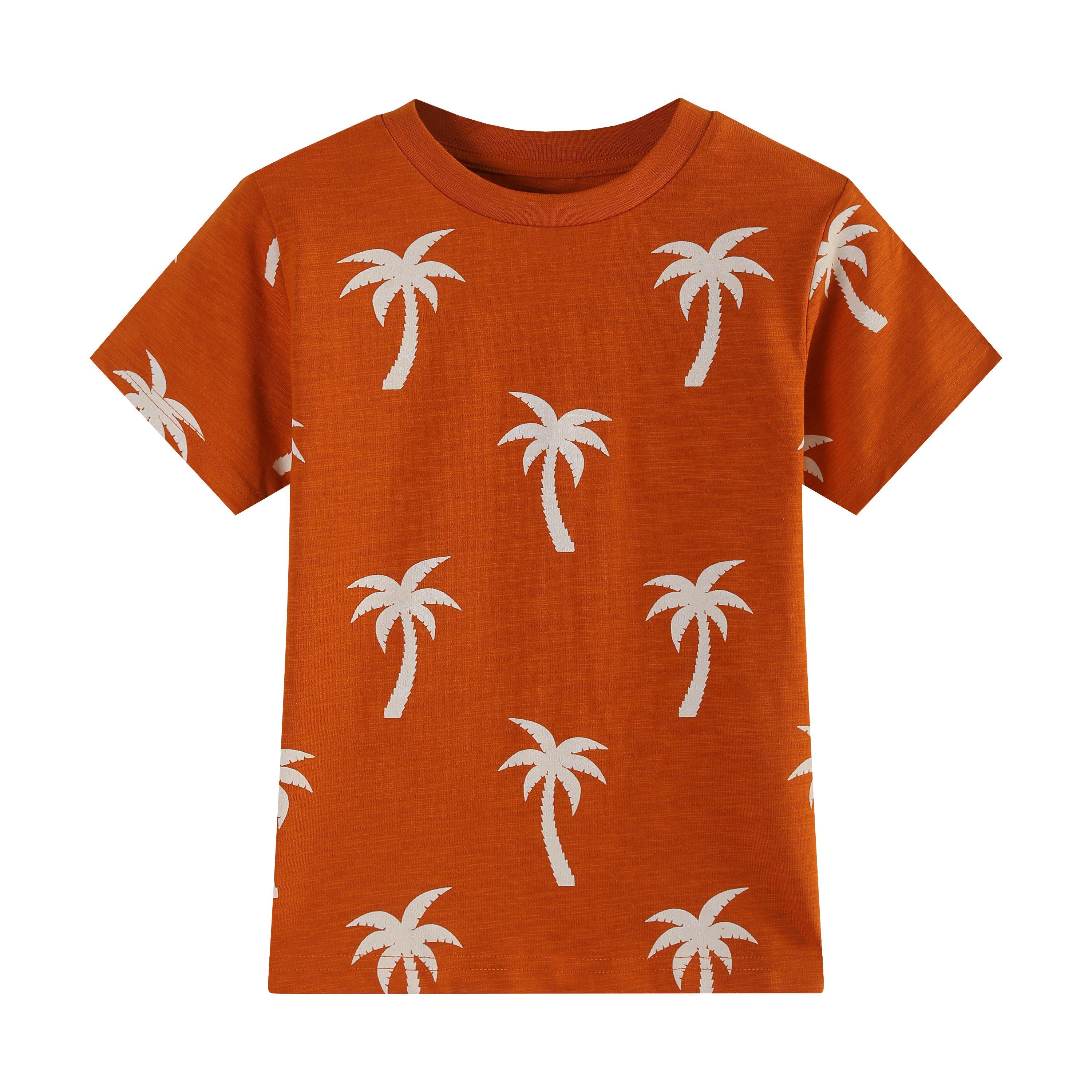 Studio Studio Younger Boys 2 pack Printed Tshirt