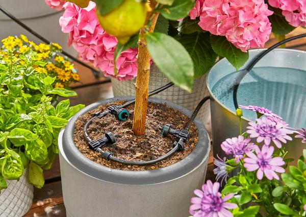 GARDENA Solar-Bewässerung Aquabloom
