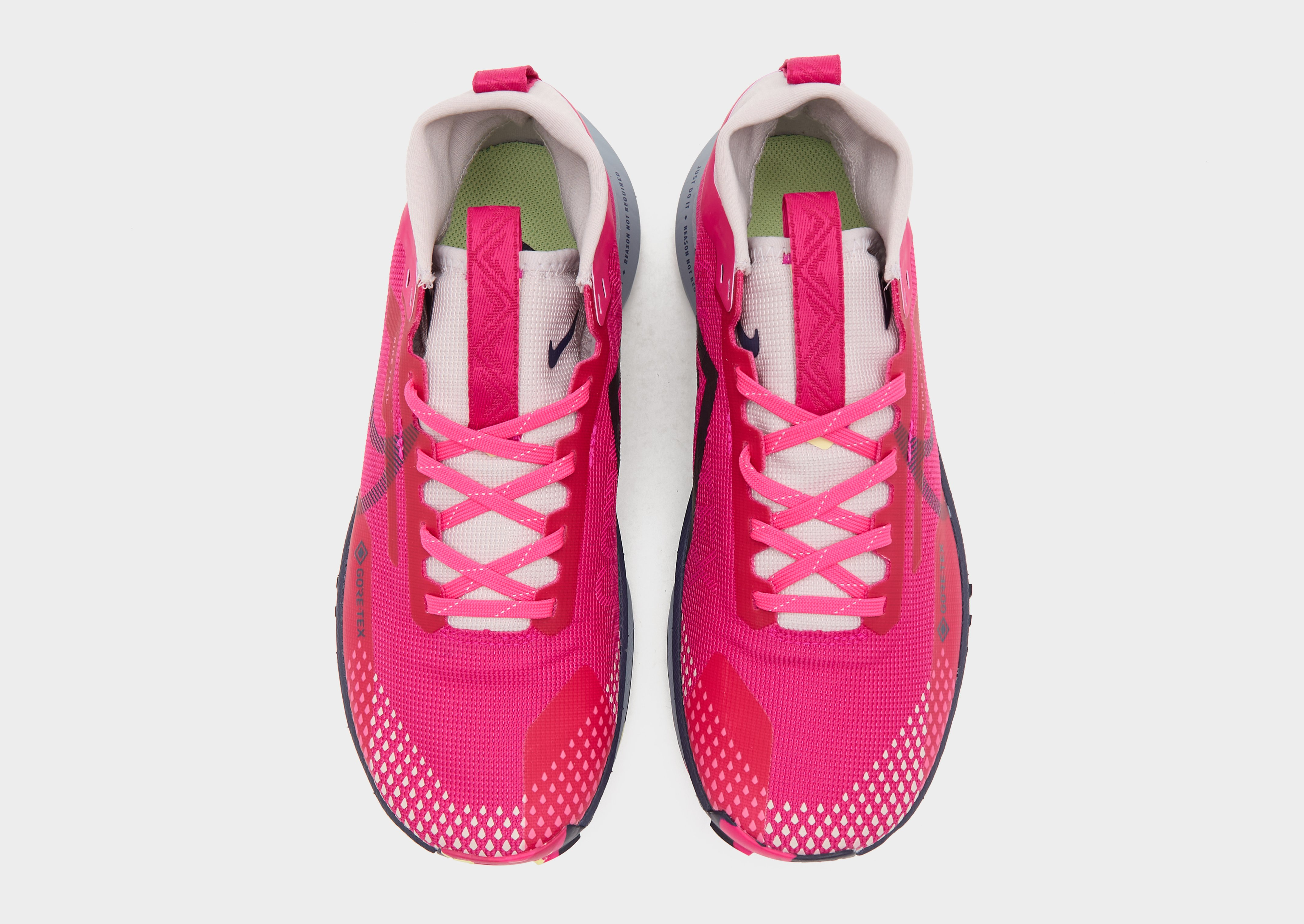 Nike Pegasus Trail 4 GORE-TEX Femme