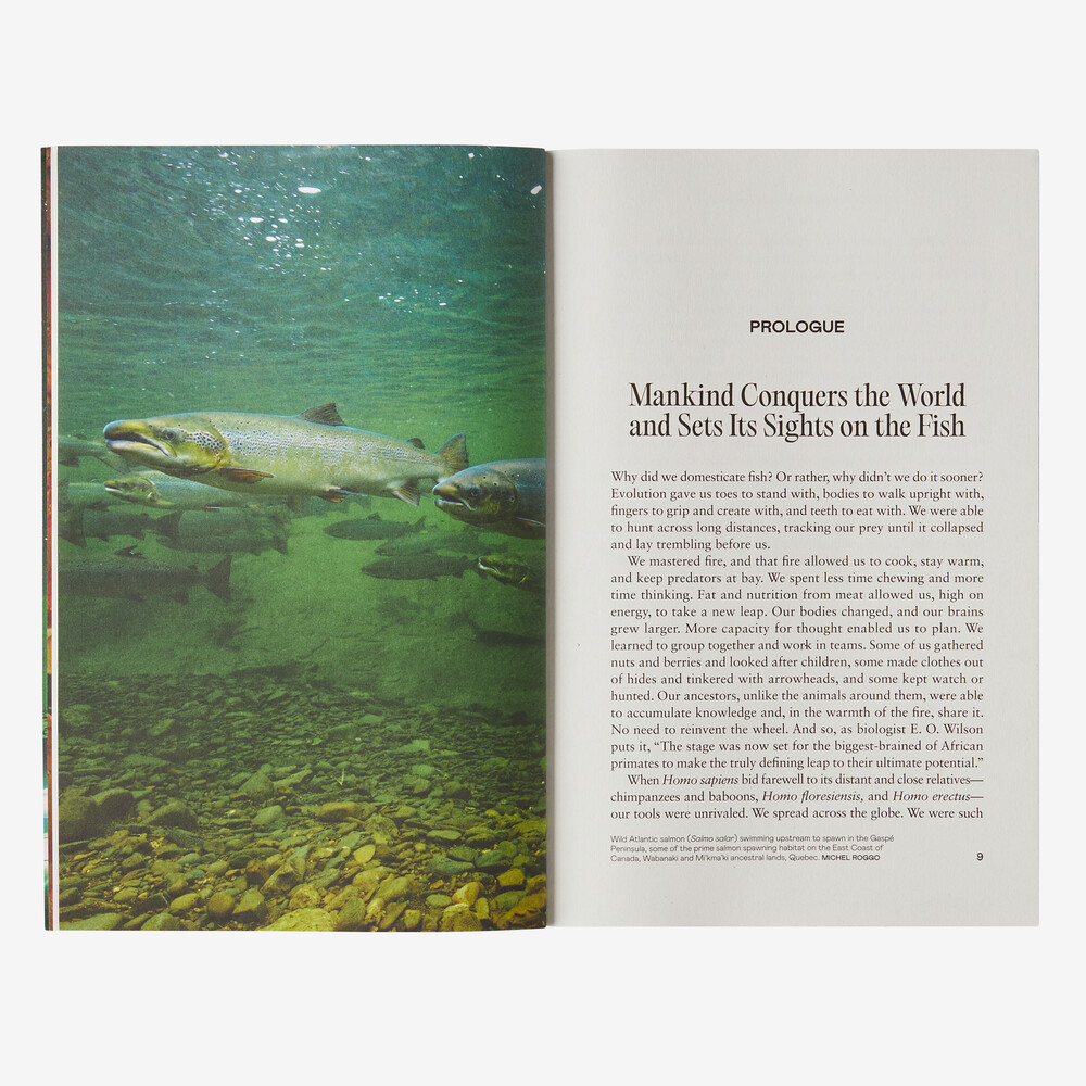 Der neue Fisch: Die Wahrheit über Zuchtlachs und die Folgen, die wir nicht länger ignorieren können (von Simen Stre und Kjetil Stli)