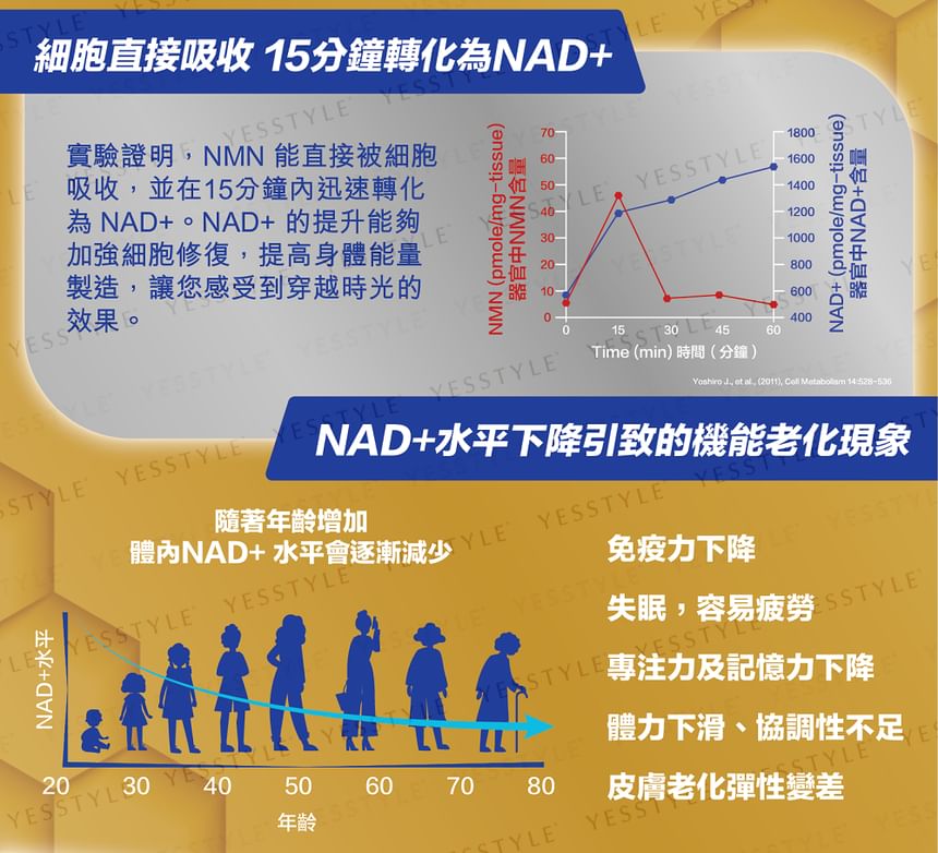 TY Science - NMN 40000+