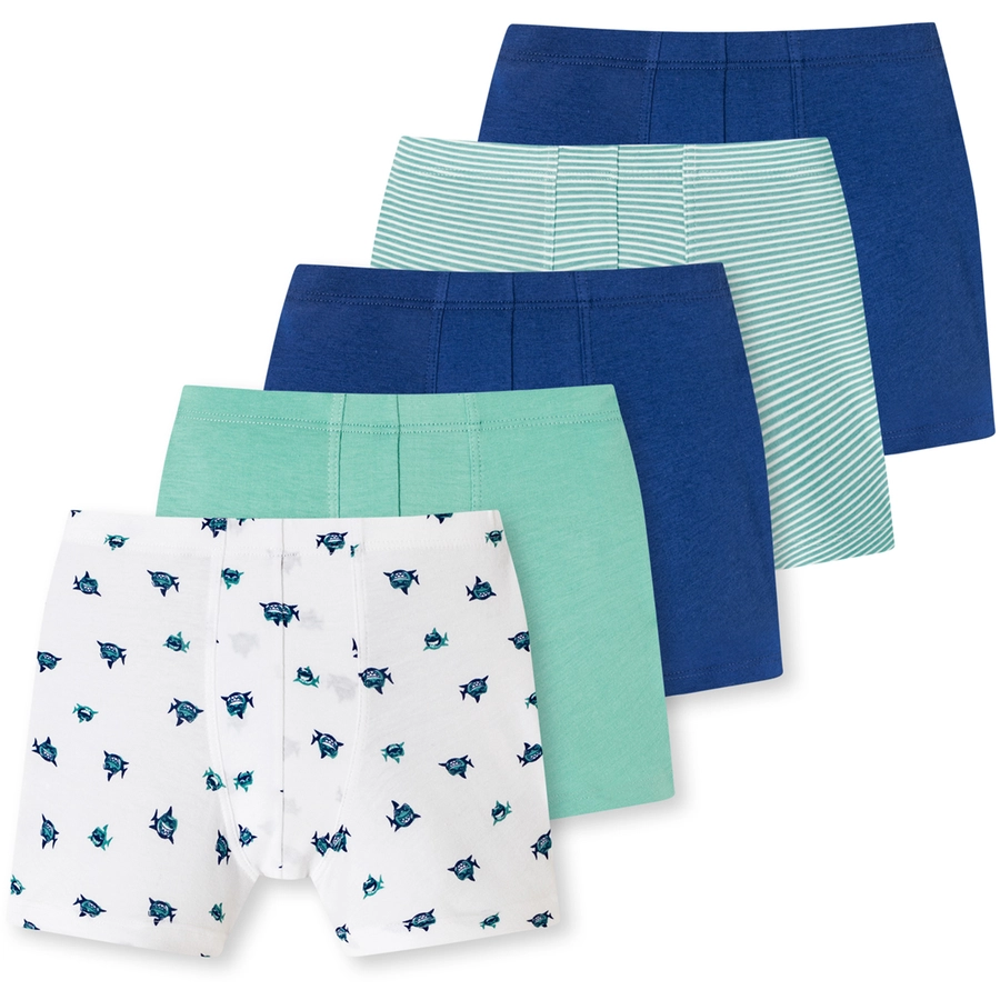 Schiesser Trunk 955 Organic Cotton weiß, mint, blau