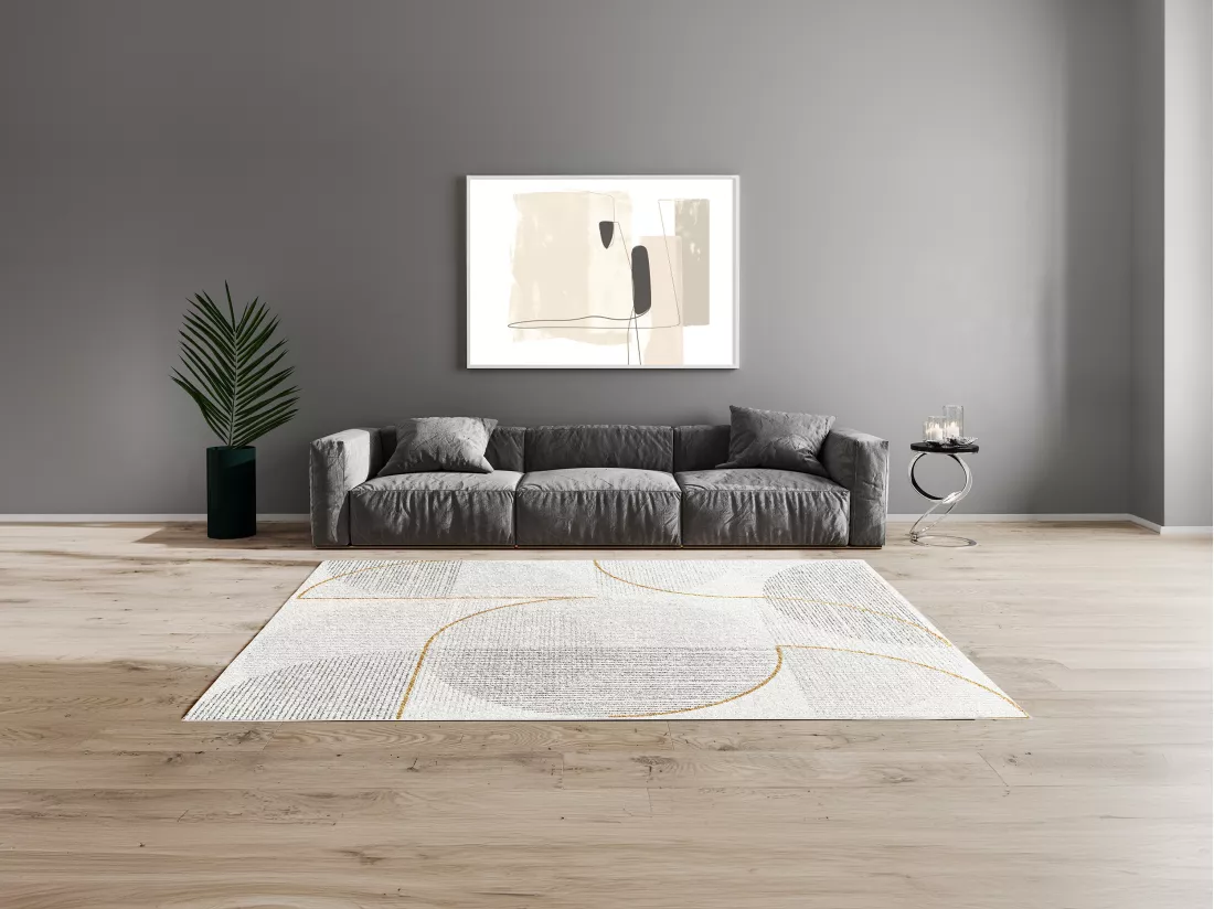 Tapis shaggy design géométrique - 160 x 230 cm - Crème, Gris et Doré - TOLGA