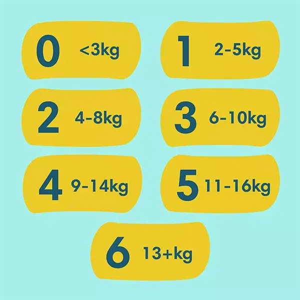 Pampers Premium Protection Taille 3 Couches x29 6kg - 10kg Notre N°1 Pour Le Confort & La Protection