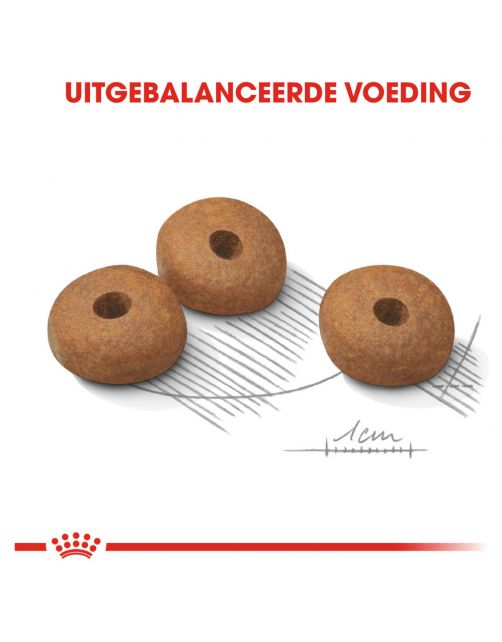 Royal Canin Light Weight Care Mini - Hondenvoer
