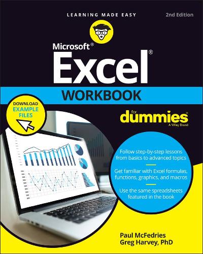 Excel Workbook For Dummies (Paperback)