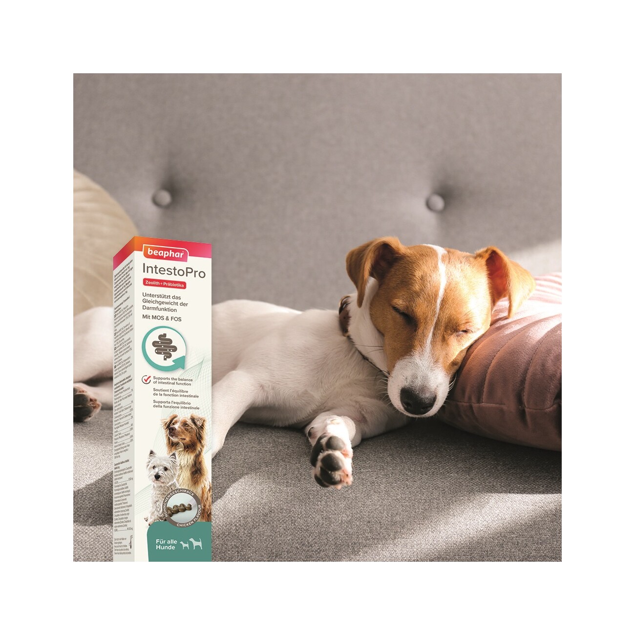 Beaphar IntestoPro Paste für Hunde 2x20 ml