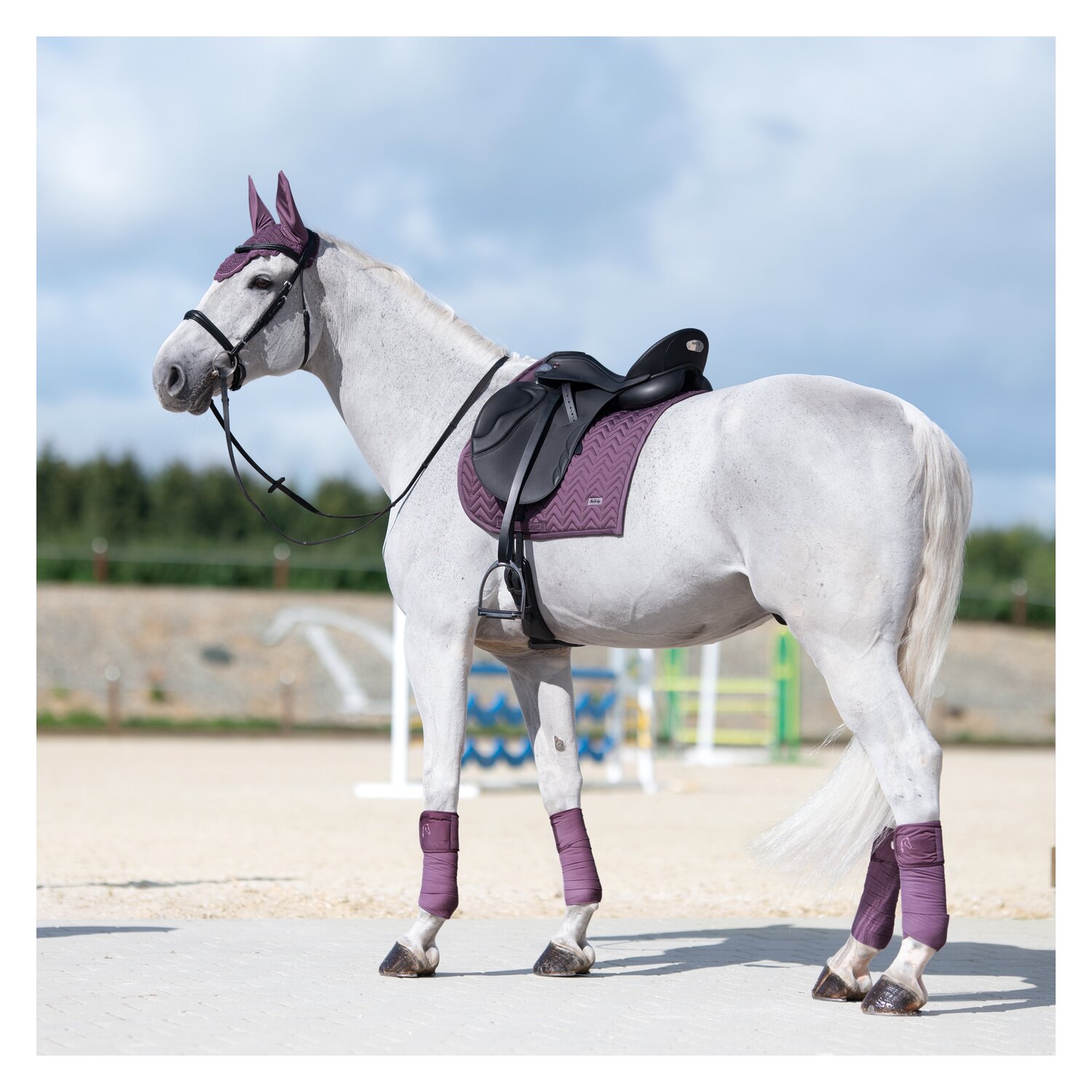 Cheval de Luxe Fliegenohren Charleroi  - mauve - Warmblut