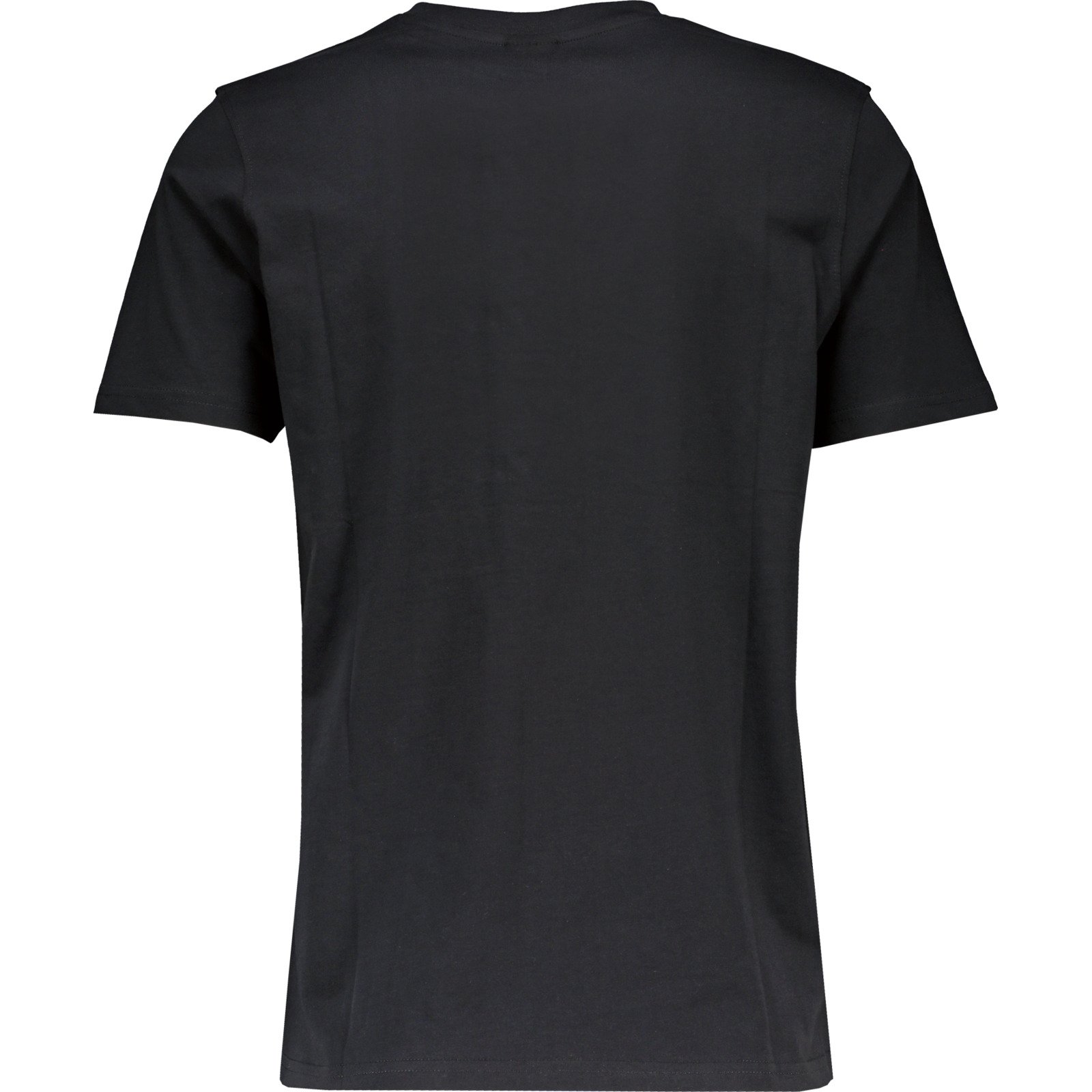 Herren-T-Shirt Bio mit Rundhals, schwarz