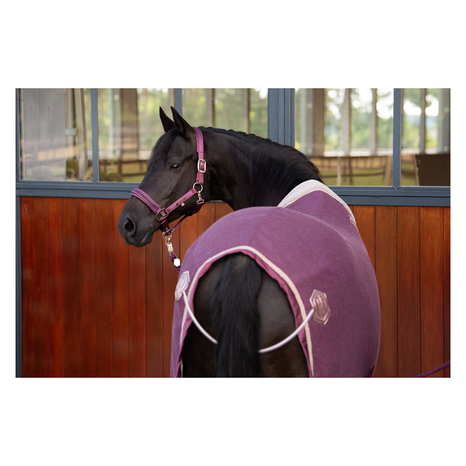 ESKADRON Heritage Abschwitzdecke Acrylic  - cassis