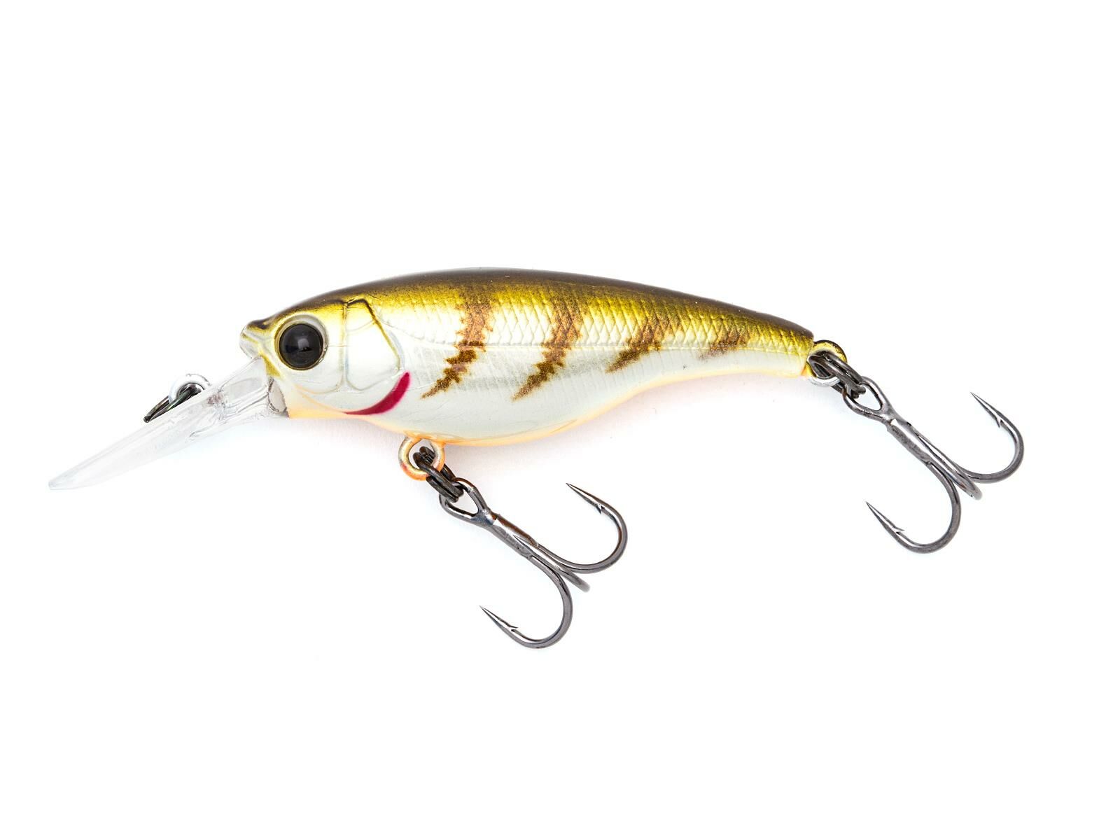 SX 40F (346) Brown Perch