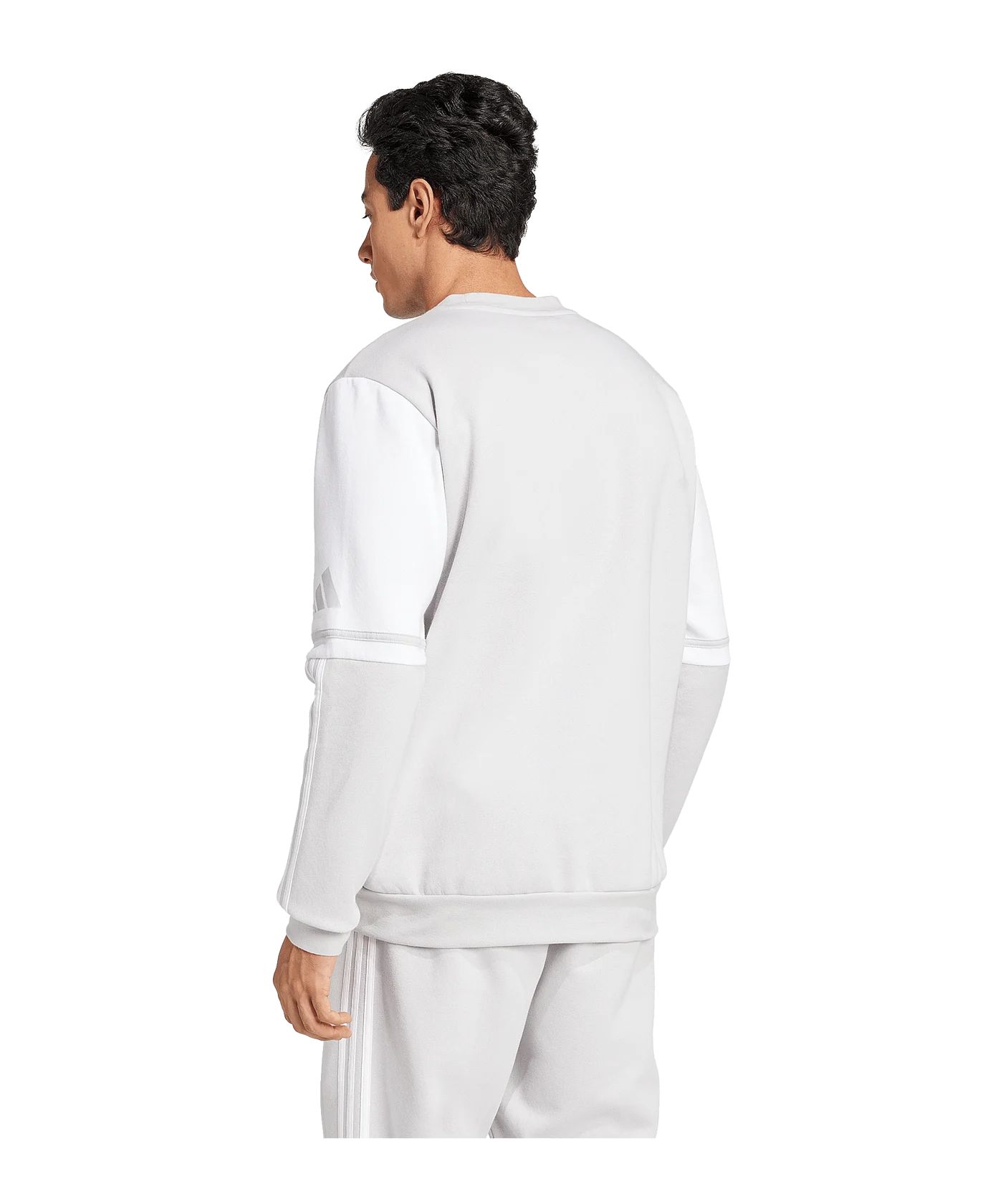 adidas Squadra 25 Sweatshirt Grau