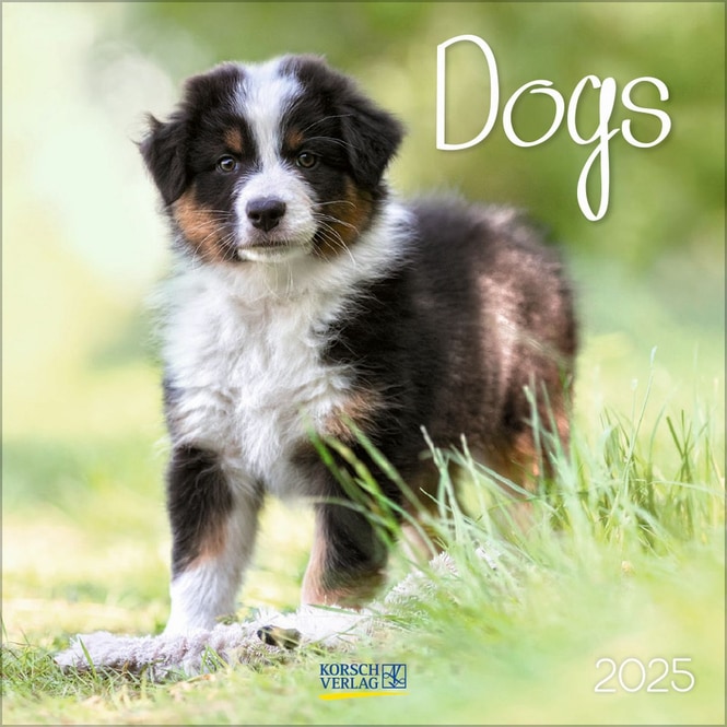 Kalender - 2025 - Dogs