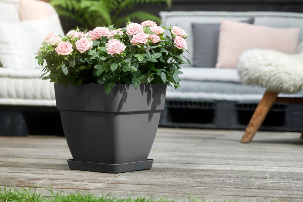 Elho bloempot Vibia Campana antraciet 28,8 x 28,8 x 28,2 cm