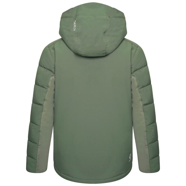 Veste de ski DARE 2B CHEERFUL II JKT AGAVEGR/DUCK
