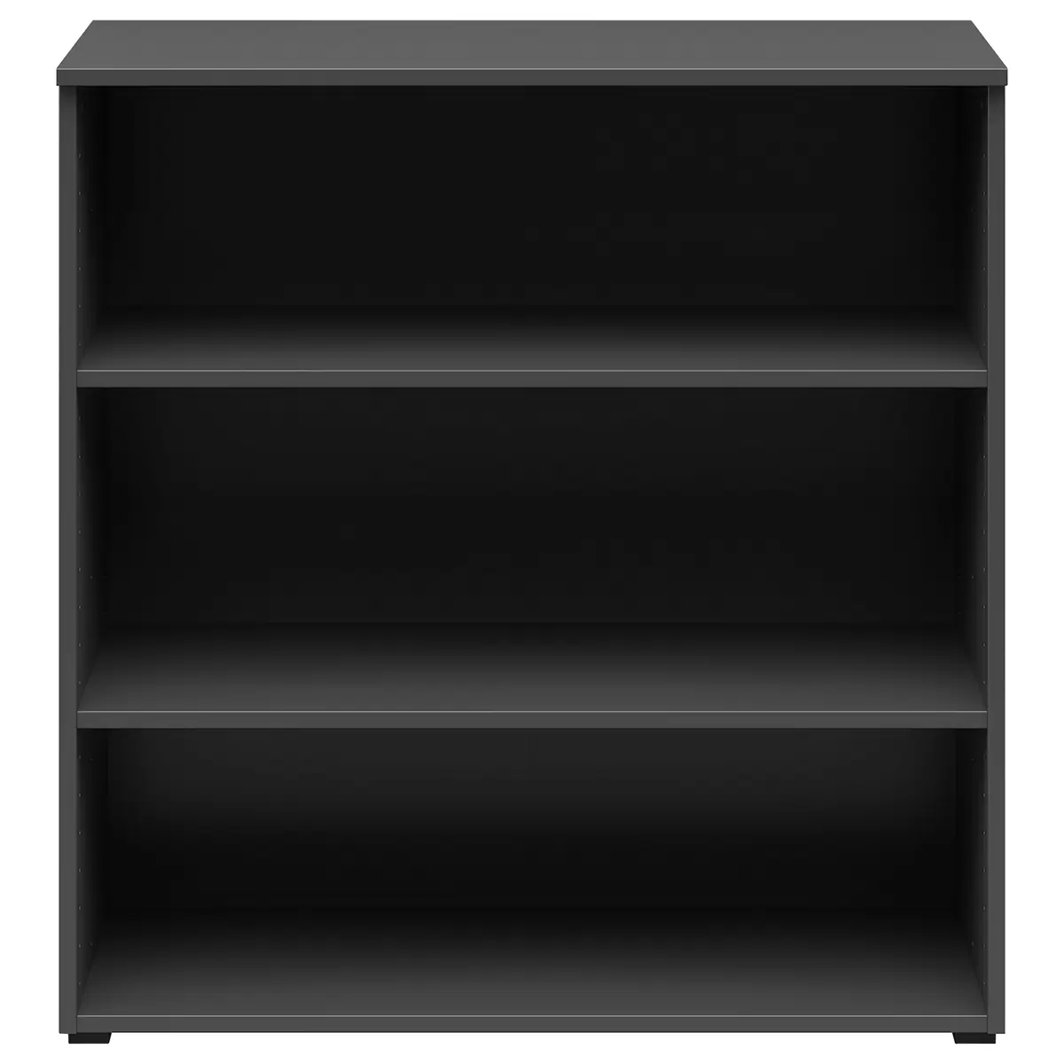 Regal 2T Cabinet Anthrazit