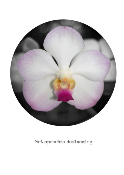Bright Spot | Condoleancekaart | Witte condoleance bloem
