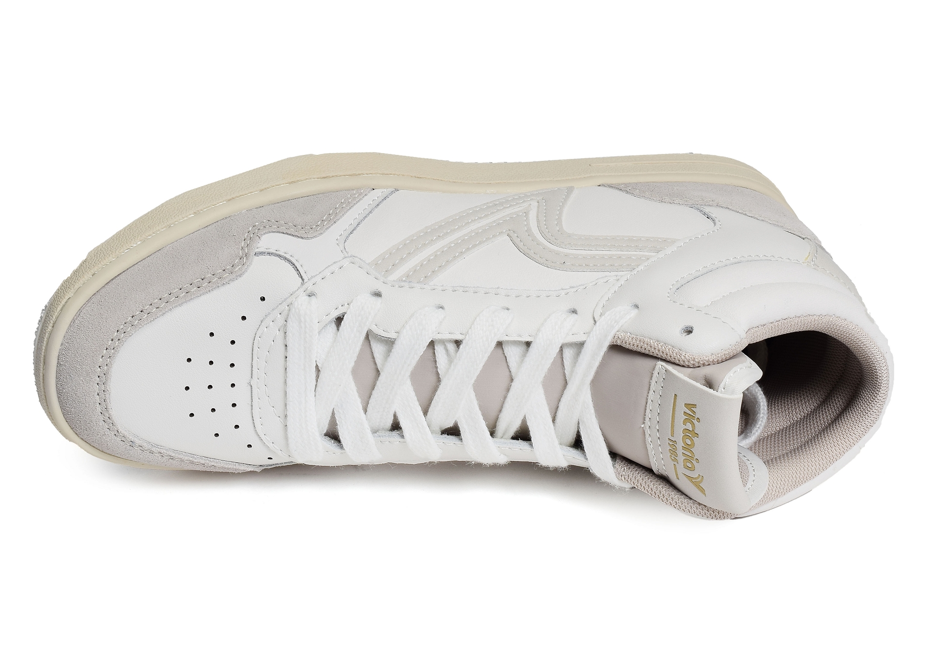 8800100 gris