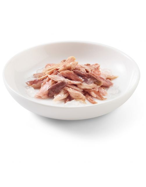 Schesir Kat Blik Gelei Vis 85 g - Kattenvoer
