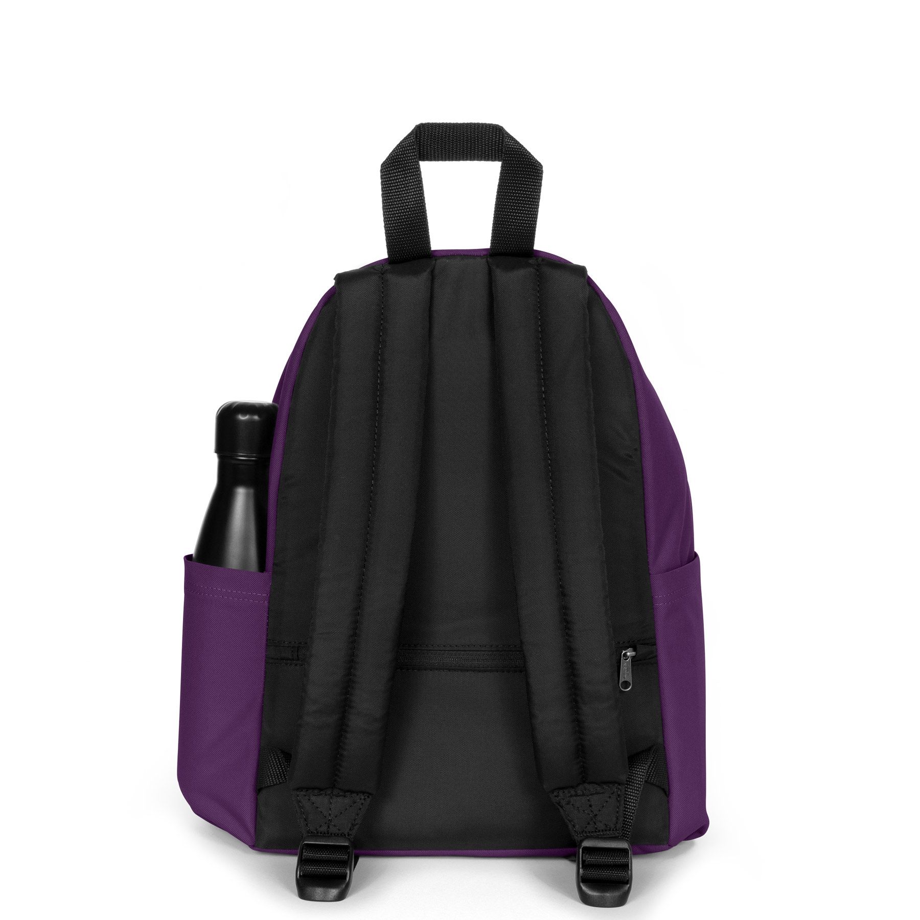 Day Pak'r S Eggplant Purple