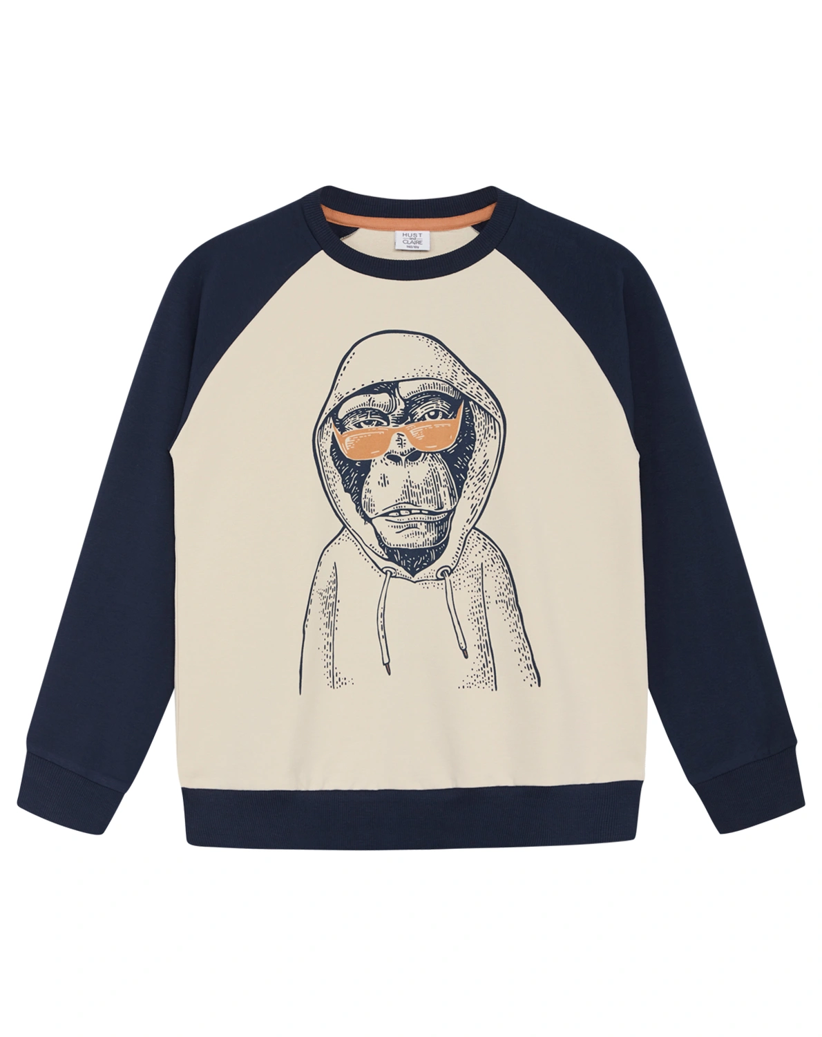 Sweatshirt STEVE AFFE in blues
