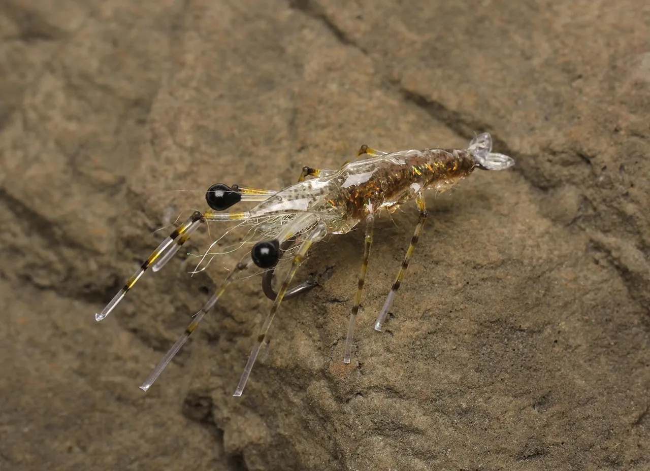Easy Shrimp Eyes Legs 2.0