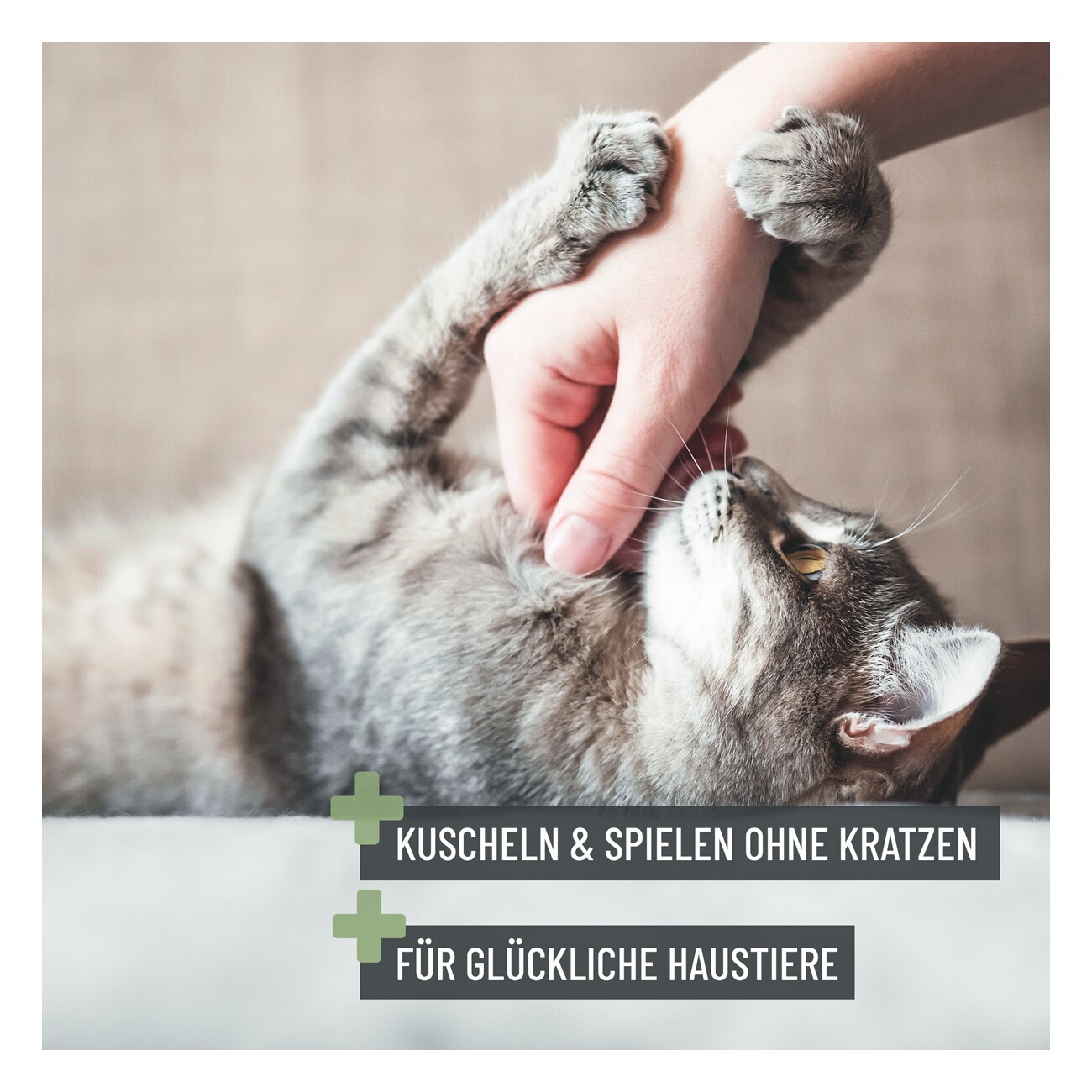 REAVET Krallenschere