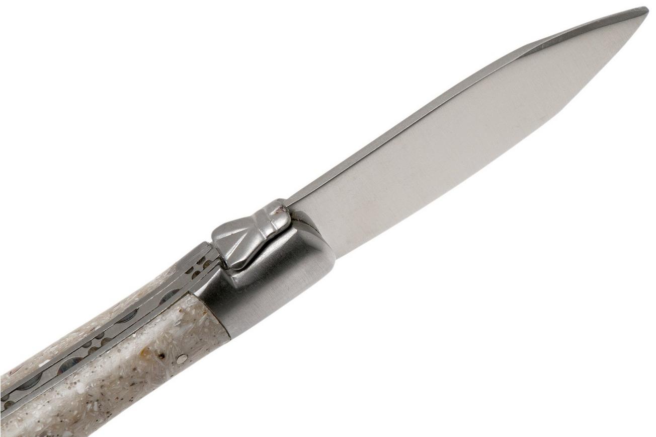 Laguiole en Aubrac Oyster C2I99CQHI oestermes oesterschelp