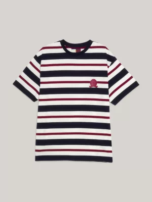 Camiseta Crest Global Stripe Archive Fit