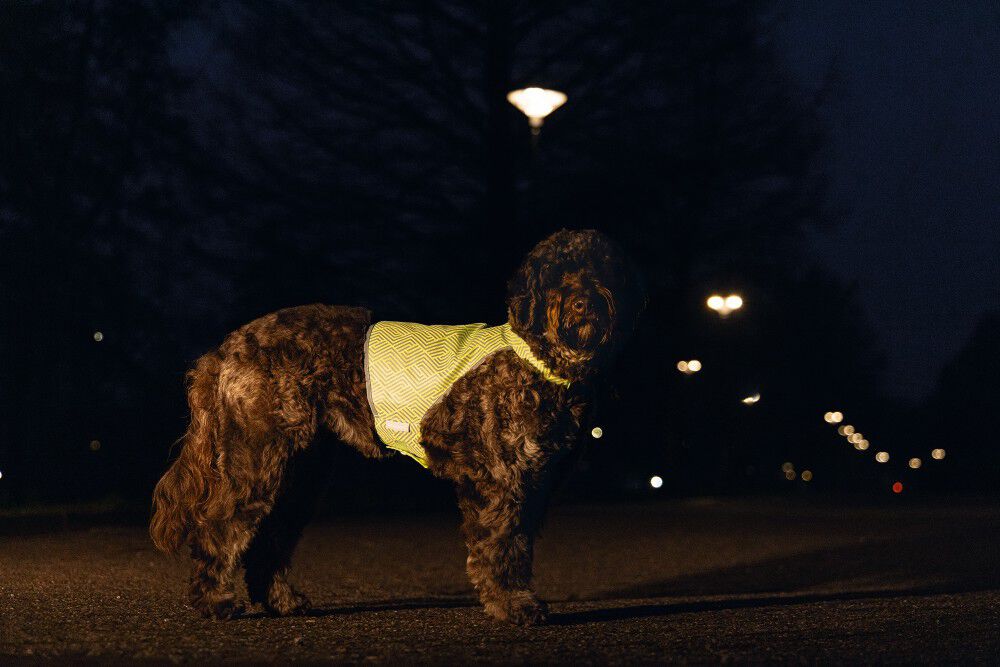 Beeztees Ava - Reflecterend Vest - Hond - Geel - S