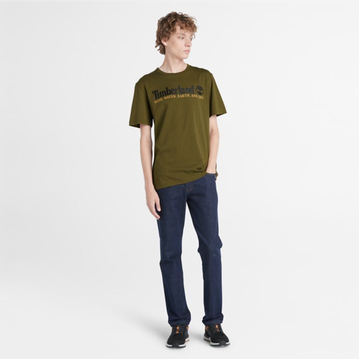 Camiseta masculina verde com estampa de vento, água, terra e céu.