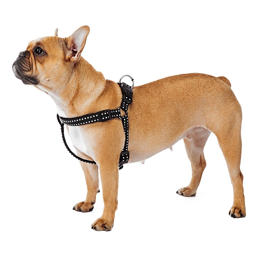 Harnais pour chiens cricket large, résistant, rembourré et réglable