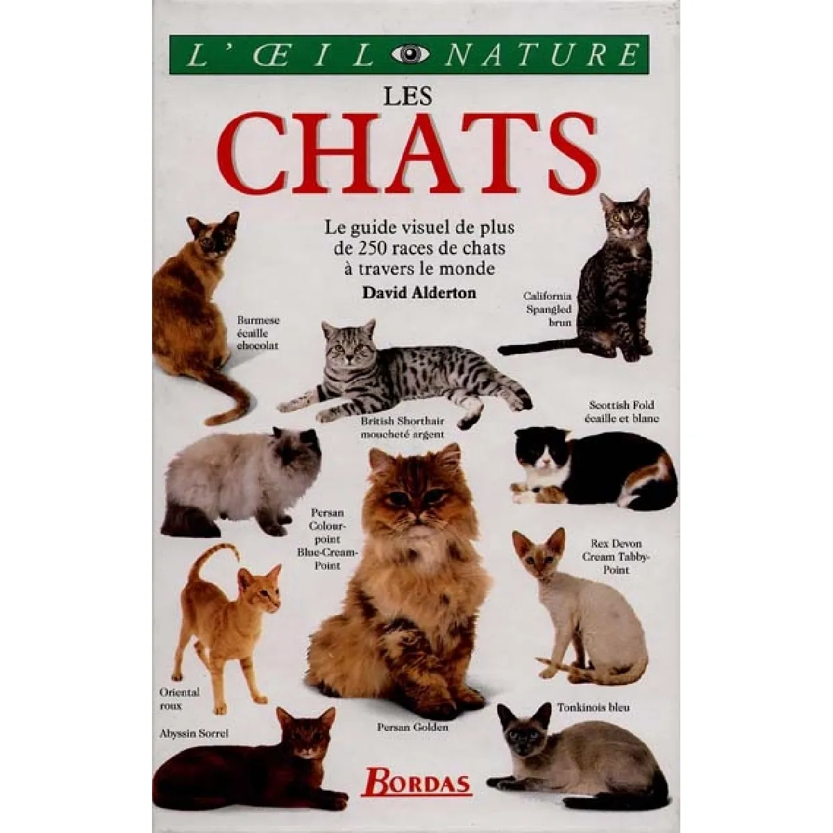 Les chats · Occasion