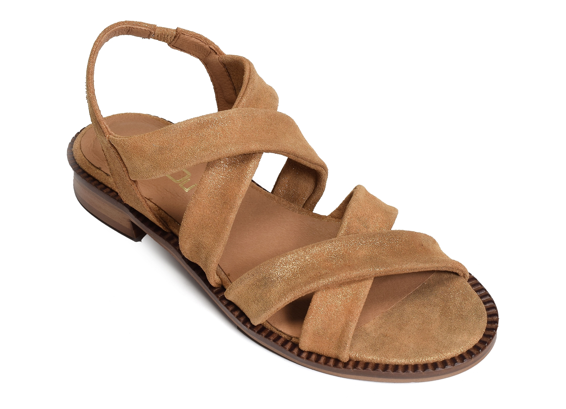 8597 camel or