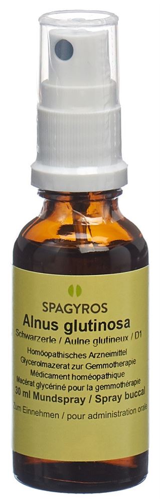 Spagyros Alnus glutinosa Glyc Maz 1 D Spr 30 ml