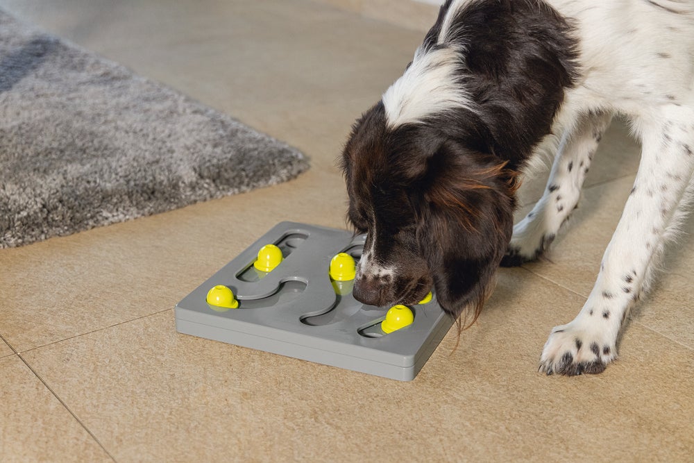 Beeztees hondenspeelgoed Brain Game Looki grijs 28 x 28 x 4,5 cm