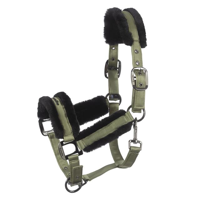 Halster Cavallo CAVALJero Groen