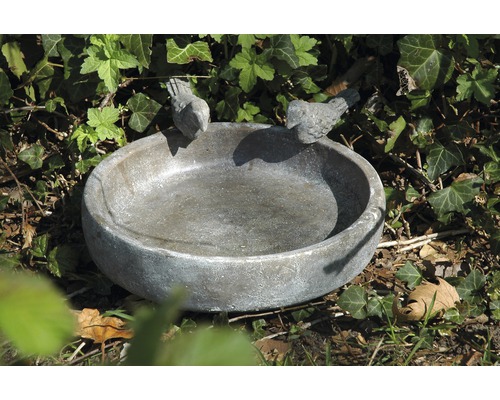 Vogelbad Pool Oasis groot Ø 24,5 cm