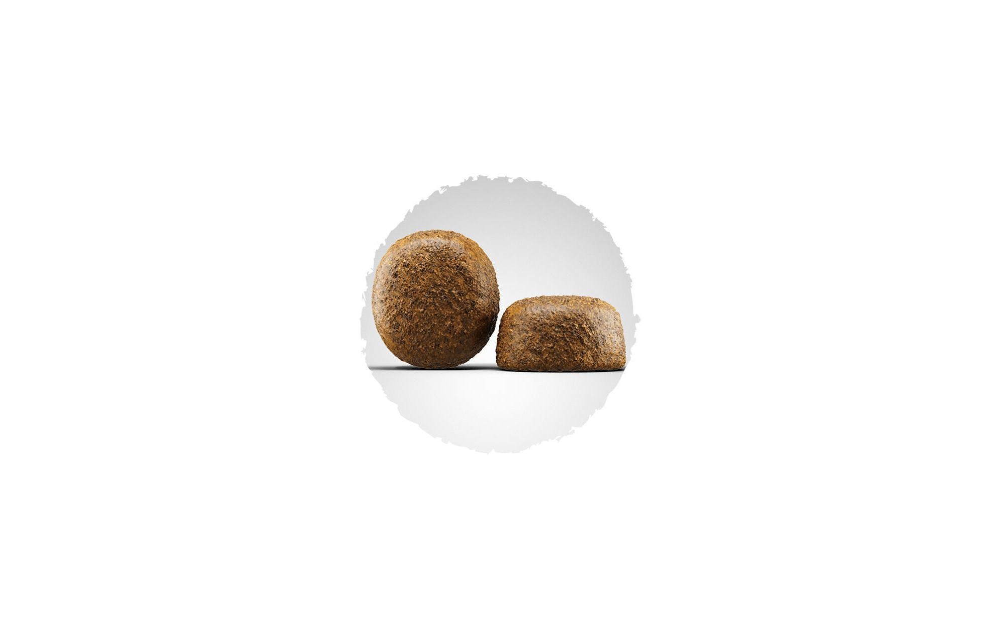 Trockenfutter Daily Adult Large Breed, 12.5 kgAlleinfuttermittel für ausgewachsene Hunde