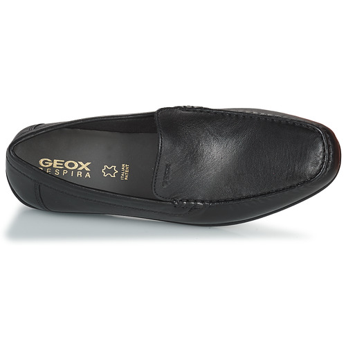 Geox - U ASCANIO - Noir