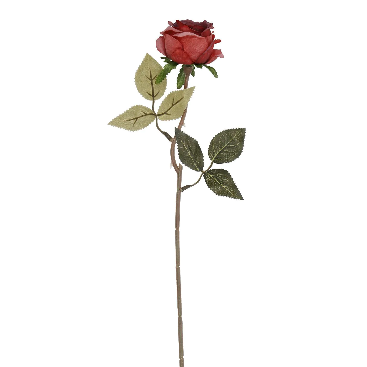 Rose Leonore, pink, 38 cm