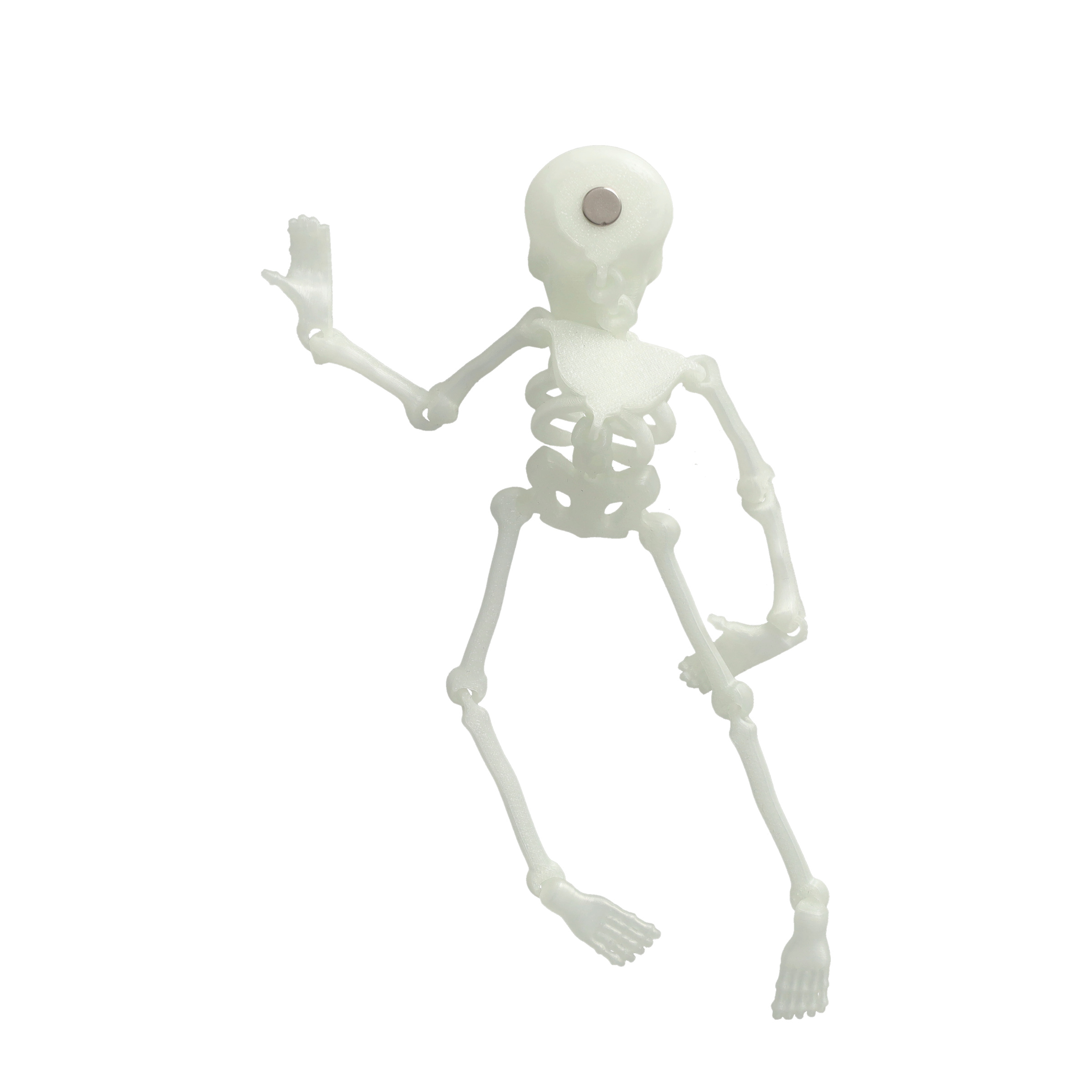 (19x6cm) Fluoreszierendes Halloween Skelett Magnet Grusel Deko Glow in the Dark Party Accessoire für Whiteboard   Kühlschrank - Weiss / Grün