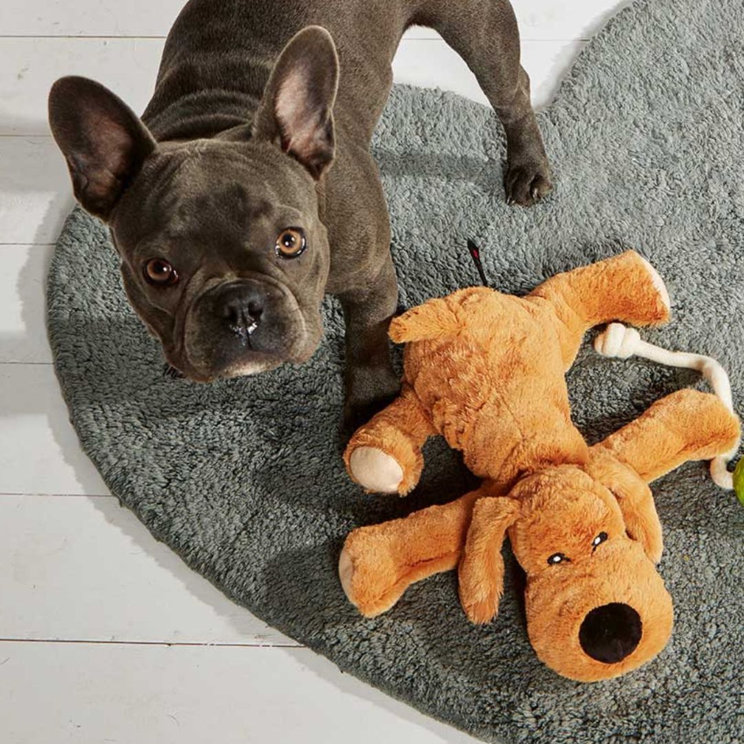 Wolters Plüschhund beige