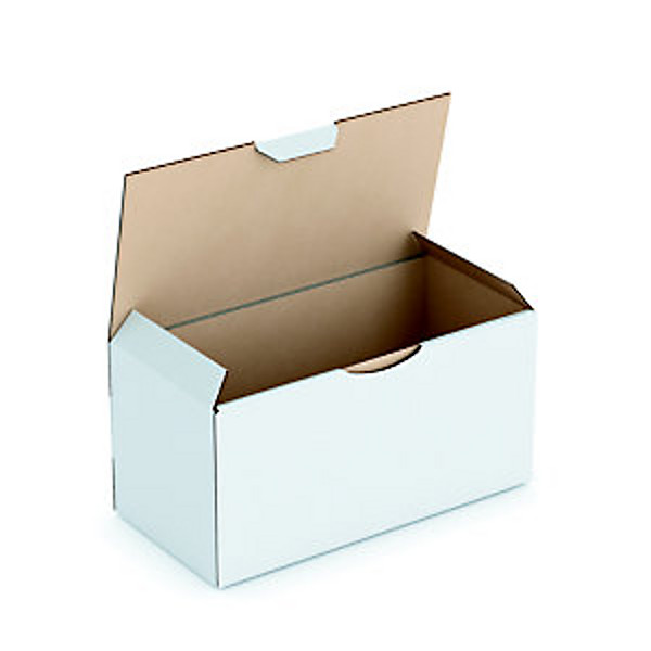 RAJA Boîte d'expédition blanche en carton simple cannelure - L. Int. 20 x l.10 x H.10 cm - Lot de 50