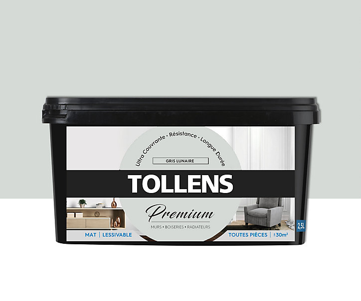 Peinture Tollens premium murs, boiseries et radiateurs gris lunaire mat 2,5L