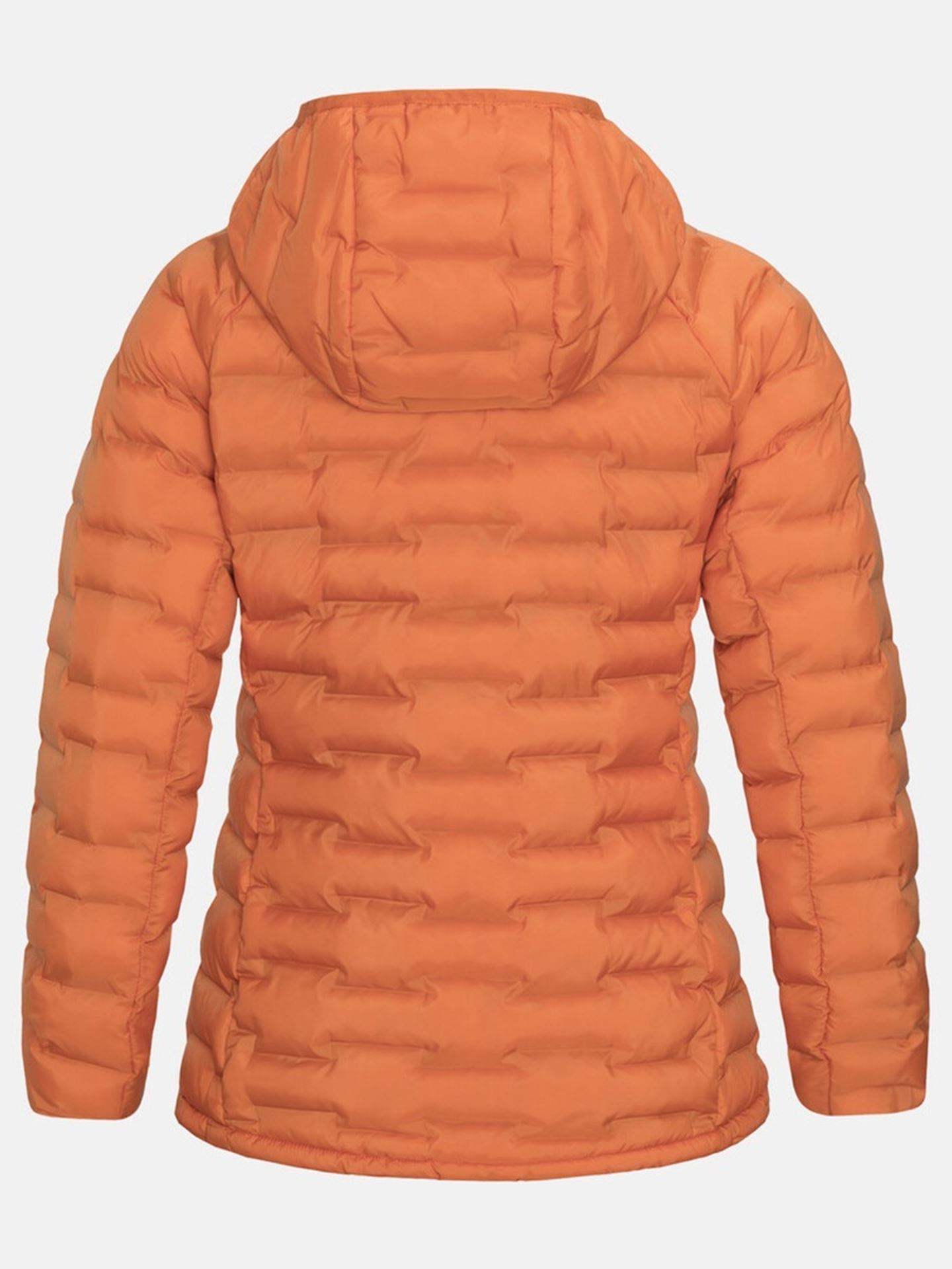 Argon Light Hood Jacket